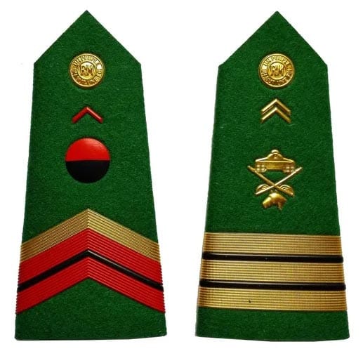 Military Shoulder Badges BG002