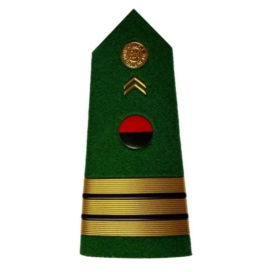 Military Shoulder Badges BG002 image 2