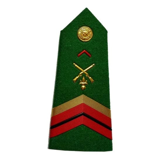 Military Shoulder Badges BG002 image 3