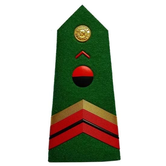 Military Shoulder Badges BG002 image 5