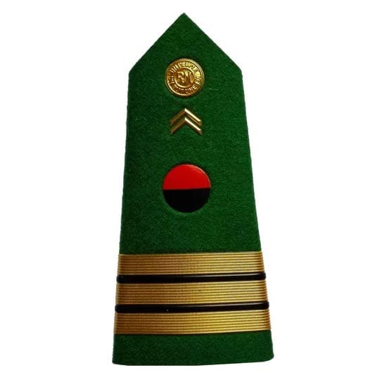Military Shoulder Badges BG002 image 6